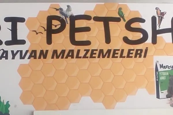 Arı Petshop - Resim 10