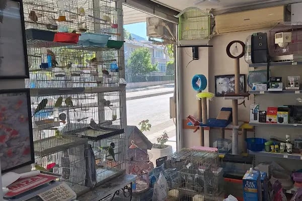 Arı Petshop - Resim 4