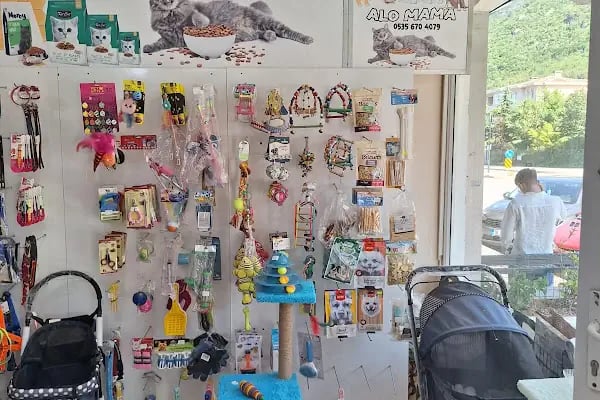 Arı Petshop - Resim 3