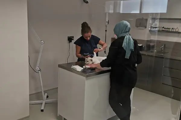 Çukurova Bölge Hayvan Hastanesi - Resim 20