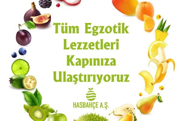 Hasbahce A.Ş. - Resim 15