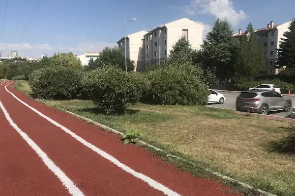 Milli Atlet Muharrem Dalkılıç Koşu Yolu - Resim 5