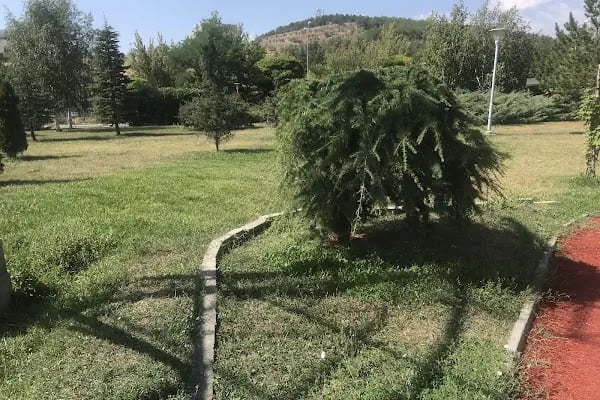 Milli Atlet Muharrem Dalkılıç Koşu Yolu - Resim 1