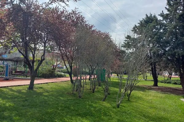 Milli Atlet Muharrem Dalkılıç Koşu Yolu - Resim 7