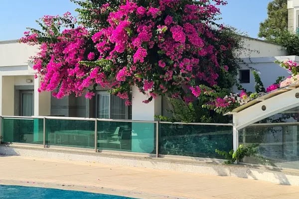 Royal Palm Residence - Resim 10