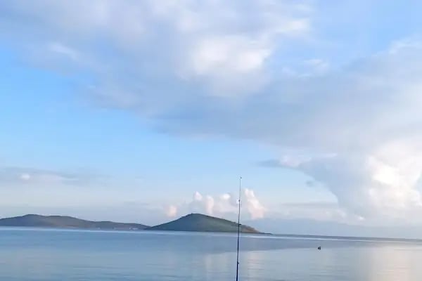 Bodrum Belediyesi Müsgebi Cafe - Resim 17