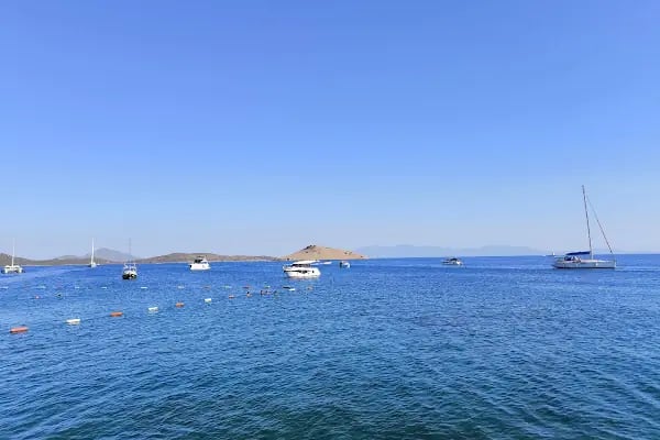 Bodrum Belediyesi Müsgebi Cafe - Resim 4