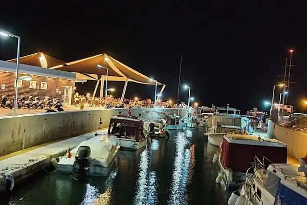Bodrum Belediyesi Müsgebi Cafe - Resim 20