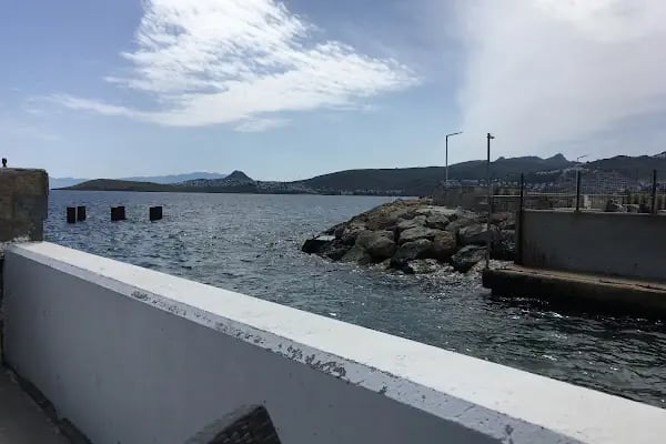 Bodrum Belediyesi Müsgebi Cafe - Resim 7