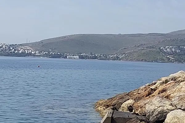 Bodrum Belediyesi Müsgebi Cafe - Resim 6