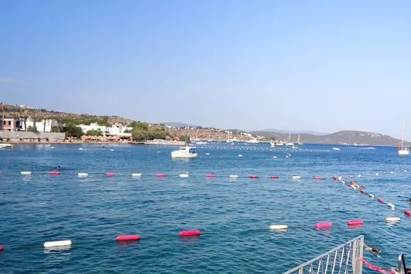 Bodrum Belediyesi Müsgebi Cafe - Resim 15