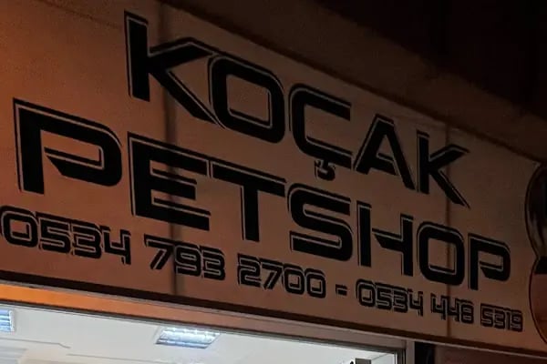 Koçak Petshop - Resim 2