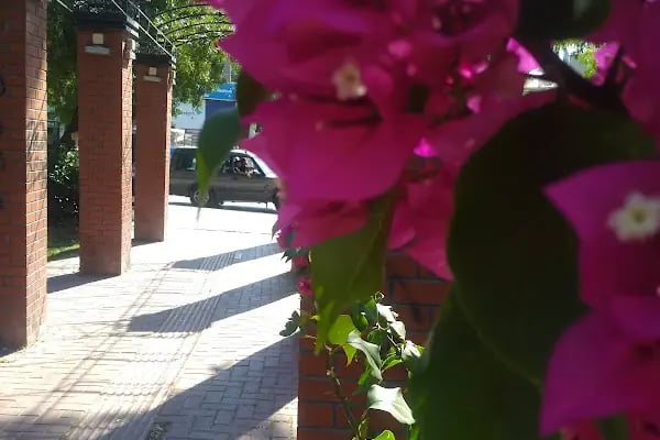 Üçkuyular Meydanı - Resim 7
