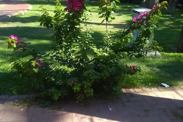 Üçkuyular Meydanı - Resim 19