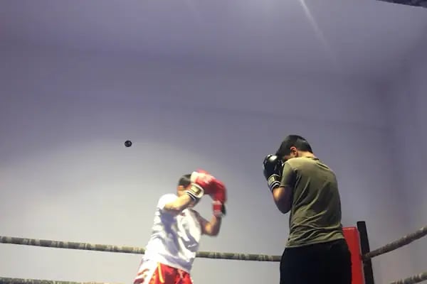 Ankara Uzakdoğu Taekwondo Kick Boks Spor Kulübü - Resim 3