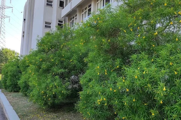 Mersin Üniversitesi Teknik Bilimler Meslek Yüksekokulu - Resim 5