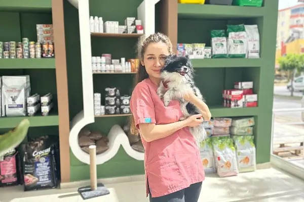 VİTAVET Veteriner Kliniği - Resim 3