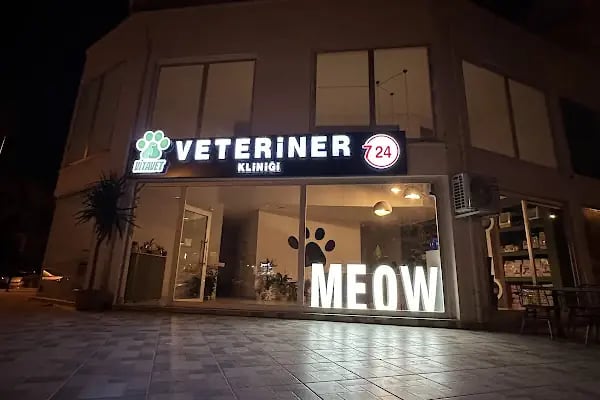 VİTAVET Veteriner Kliniği - Resim 15