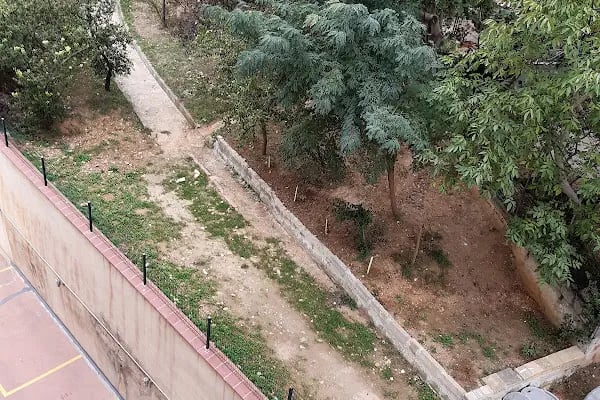 Papatya Parkı - Resim 2