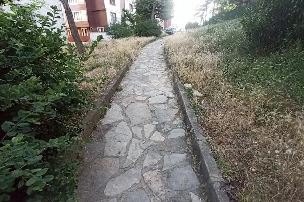 Papatya Parkı - Resim 11