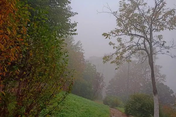 Papatya Parkı - Resim 6