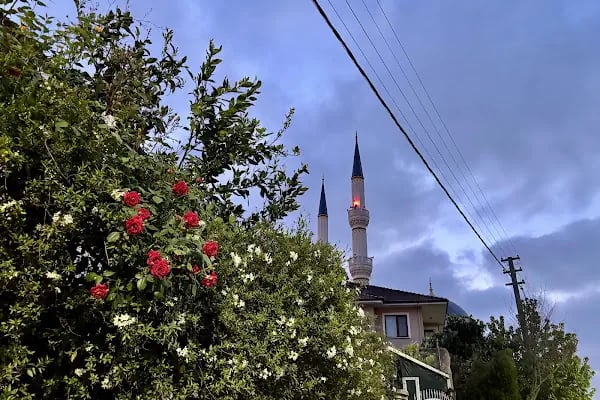 Hacı Zehra Yazaroğlu Camii - Resim 13