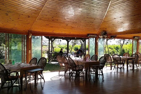 Yosun Restaurant - Resim 11