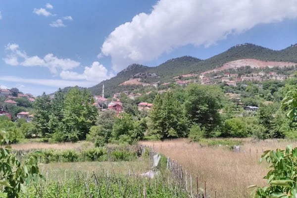 Bademli - Resim 1