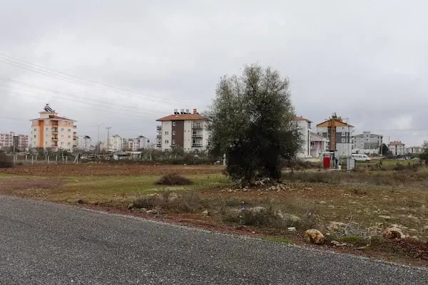 Mavikent Sitesi - Resim 7