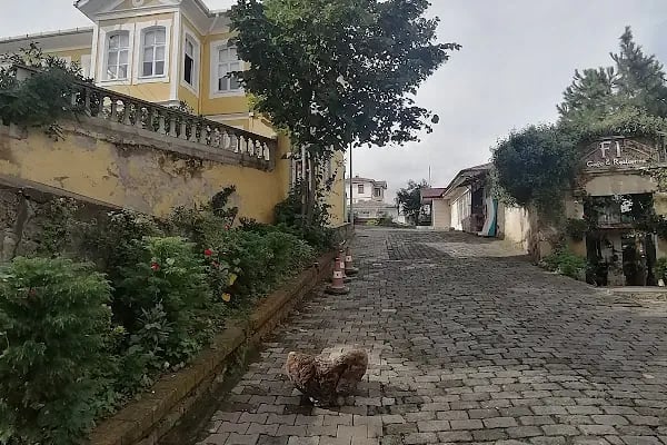 Orta Mahallesi Merkez Camii - Resim 7