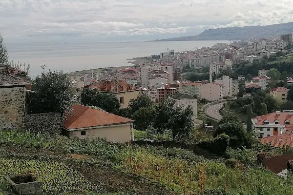 Orta Mahallesi Merkez Camii - Resim 2