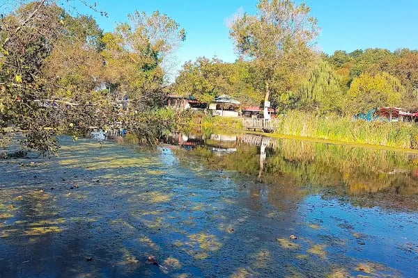 Kıyıköy Pabuçdere Camping - Resim 10