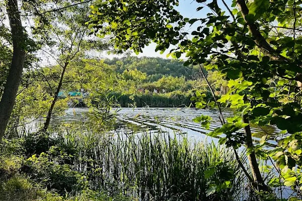 Kıyıköy Pabuçdere Camping - Resim 3