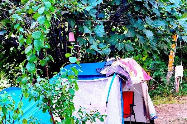 Kıyıköy Pabuçdere Camping - Resim 19